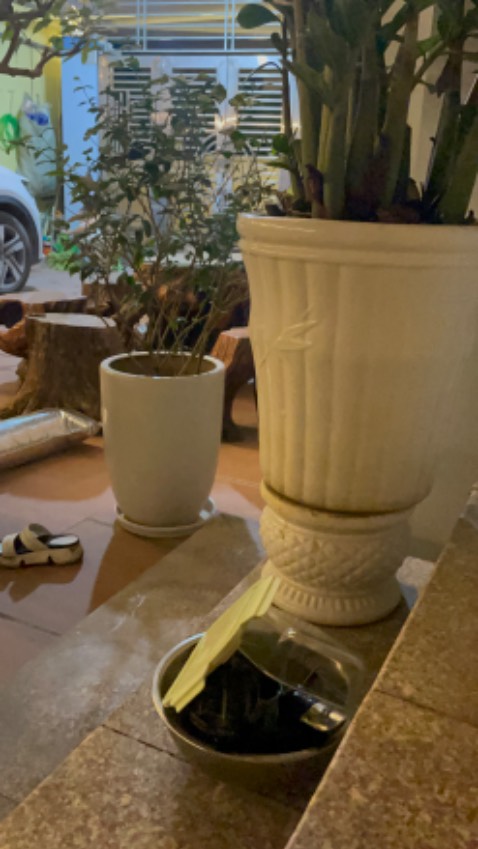 'Dầu ăn thượng hạng Neptune Light không chứa cholesterol, đặc biệt với công thức Healthy GP giúp cơ thể giảm hấp thụ cholesterol từ thực phẩm.
Neptune Light - Giảm hấp thụ cholesterol từ thực phẩm
'- Giảm hấp thụ cholesterol từ thực phẩm: Không những không chứa cholesterol, dầu ăn thượng hạng Neptune Light còn giúp cơ thể giảm hấp thụ cholesterol từ thực phẩm nhờ vào công thức vượt trội Healthy GP - đây là sự kết hợp tuyệt vời giữa 2 dưỡng chất Gamma-Oryzanol và Phytosterol có trong thành phần dầu.
- Thành phẩm hoàn toàn chất lượng và mang lại đầy 'Dầu ăn thượng hạng Neptune Light không chứa cholesterol, đặc biệt với công thức Healthy GP giúp cơ thể giảm hấp thụ cholesterol từ thực phẩm.
Neptune Light - Giảm hấp thụ cholesterol từ thực phẩm
'- Giảm hấp thụ cholesterol từ thực phẩm: Không những không chứa cholesterol, dầu ăn thượng hạng Neptune Light còn giúp cơ thể giảm hấp thụ cholesterol từ thực phẩm nhờ vào công thức vượt trội Healthy GP - đây là sự kết hợp tuyệt vời giữa 2 dưỡng chất Gamma-Oryzanol và Phytosterol có trong thành phần dầu.
- Thành phẩm hoàn toàn chất lượng và mang lại đầy