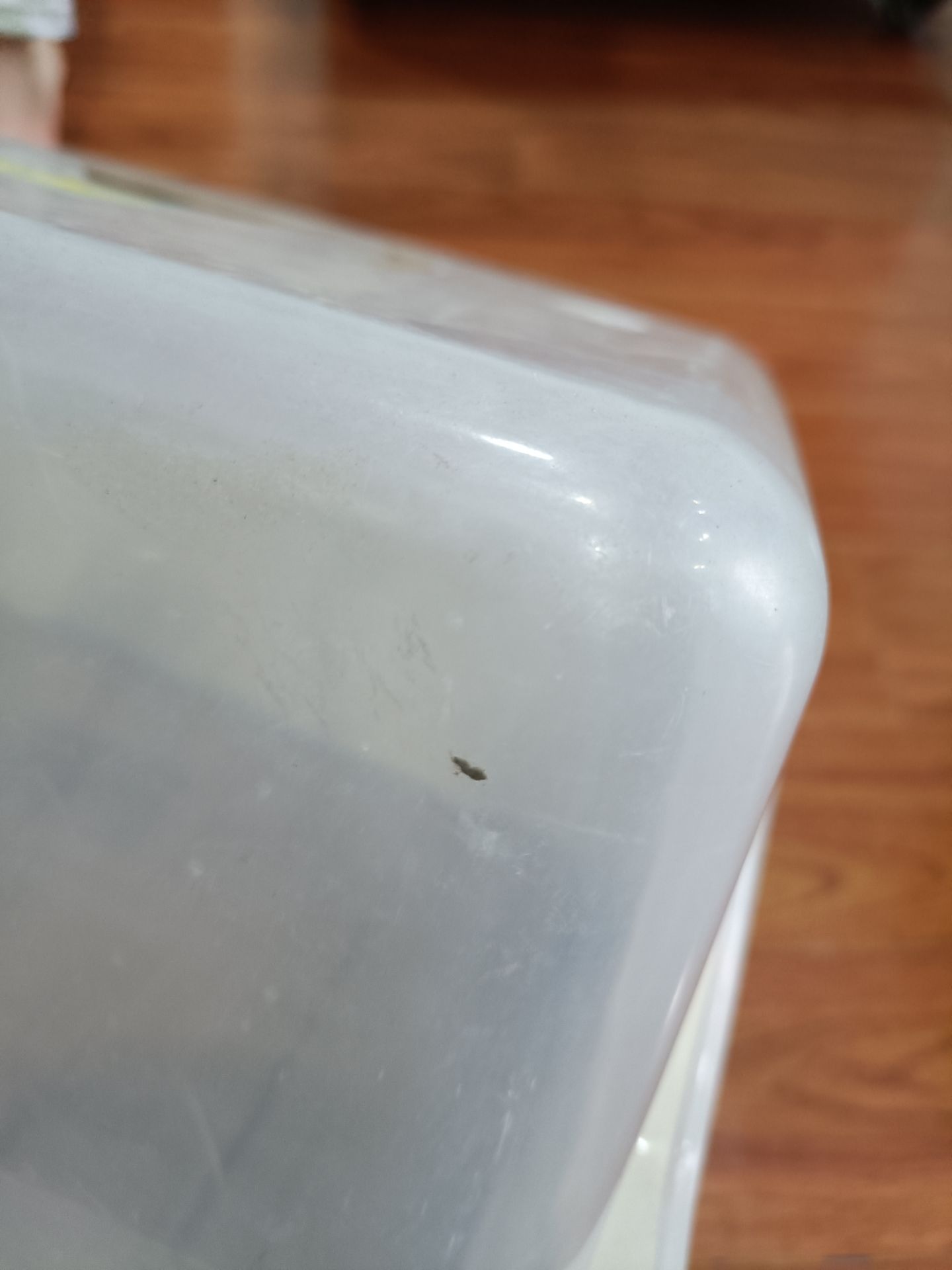 Hàng cũ, bẩn, xước xát nhiều. Không hài lòng.