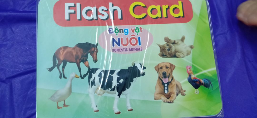 Mình đã nhận được sản phẩm. Giấy dày. Mầu sắc tươi sáng. Rất đẹp. Mình rất thích mà bé cũng rất thích nữa. Cảm ơn shop