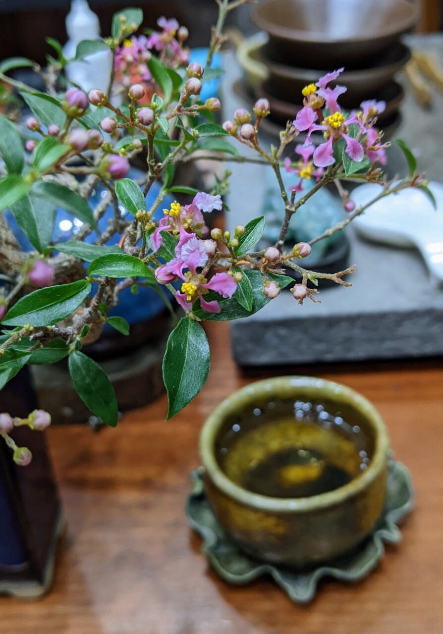 Ko biết phải nói gì và đánh giá * ra sao, nhưng đơn mua 1k khách vui nghĩ săn được sale nhà bán và tiki đợt 12/12. Nhưng rồi shop inbox là xin lỗi, shop ko bán giá đó được, khách huỷ đơn và đặt lại giùm shop. Mình bảo huỷ đơn thì shop liên hệ tiki hỗ trợ đi. Hình như shop chưa hiểu ý mình thì phải, mua hàng ở tiki sau khi đã đặt đơn thành công và có thanh toán trước qua thẻ rồi thì phần quản lý đơn hàng phía người mua không có lựa chọn huỷ đơn shop à, shop liên hệ tiki rồi huỷ đơn và họ hoàn lại tiền vào thẻ mình được mà, có vấn đề gì đâu, shop cố quá, vẫn giao đến một quyển note, thành thực mình cũng ko biết nên đánh giá sao thế nào, đây mình lấy vd ảnh bên dưới nè shop, khách đặt hàng ở tiki xong chỉ có mua lại mua tiếp thui, không có chỗ nào huỷ đơn đâu shop, đơn hàng có vấn đề từ phía người bán, thì shop chủ động liên hệ tiki để huỷ thui, cố quá để gửi hàng đi làm chi zậy à. Shop đọc được đánh giá thì mình mời ly trà như ảnh nhé shop. Là người bán hàng kinh doanh online, mà dính mấy cái một hai sao thì cũng khắc nghiệt quá, còn tinh thần đâu mà kinh doanh thêm, vẫn cảm ơn là shop gửi mình quyển note thay vì để tờ 1k lại trong đó. ^^ nên chốt là 4 sao nhé. Một lần nữa shop đọc được đánh giá này, nhớ ngó thử ly trà mình mời. Thân!