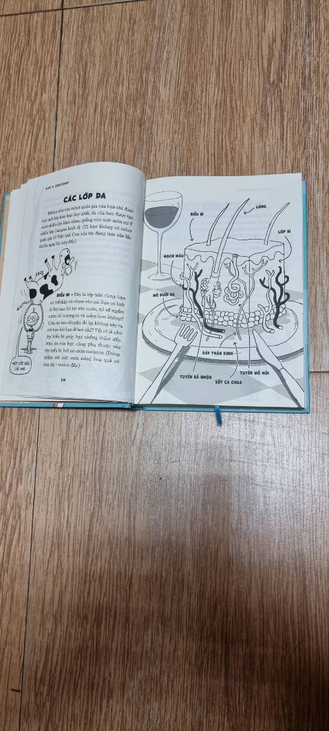 Quyển sách này được bác sĩ Adam Kay hệ thống kiến thức rất lôgic.Bác sĩ đã chia ra từng chương khác nhau như :da,tim,máu,phổi,....Từ những bộ phận ngoài cùng đến trong cùng.Từ những cơ quan lớn nhất đến nhỏ nhất.Tất cả ,đều được bác sĩ trình bày một cách,ngắn gọn,dễ nhớ.Đặc biệt hơn,là bác sĩ đã sử dụng khiếu hài hước của mình để biến những kiến thức giải phẫu khô khan thành những kiến thức " dễ nuốt".Quyển sách thích hợp cho những người bắt đầu tìm hiểu về giải phẩu học.
