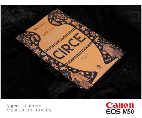 Mọi người đã quen thuộc với các anh hùng, góc nhìn từ các vị thần quyền năng. Thì Circe tạo ra góc khuất từ kẻ lạc loài.
Các vị thần có sự đấu đá, chính trị, bè phái của họ. Ai muốn đổi làn gió mới với thần thoại Hy Lạp thì nên đọc Circe. 
Đánh giá 4/5.