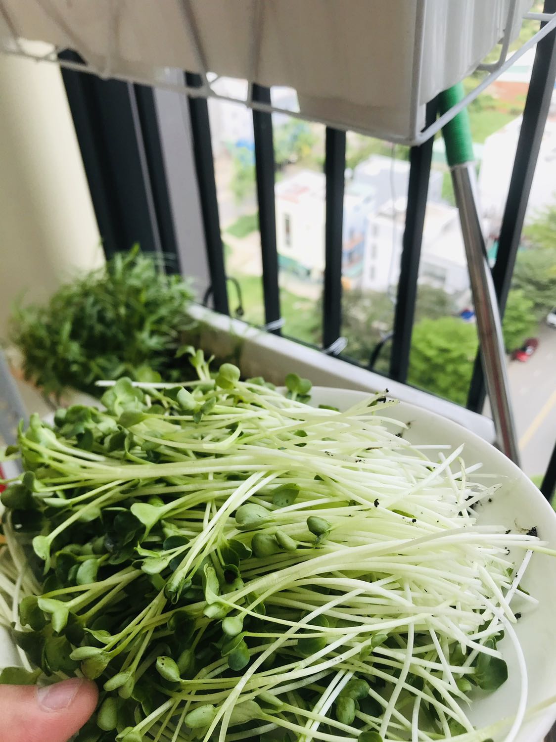 Ngon lành. Mình lắp vòi xịt này chỗ ban công. Tiện đủ thứ. Vòi có nhiều chế độ. Tưới cây, xịt mạnh. Mình hay dùng 2 chế độ này.