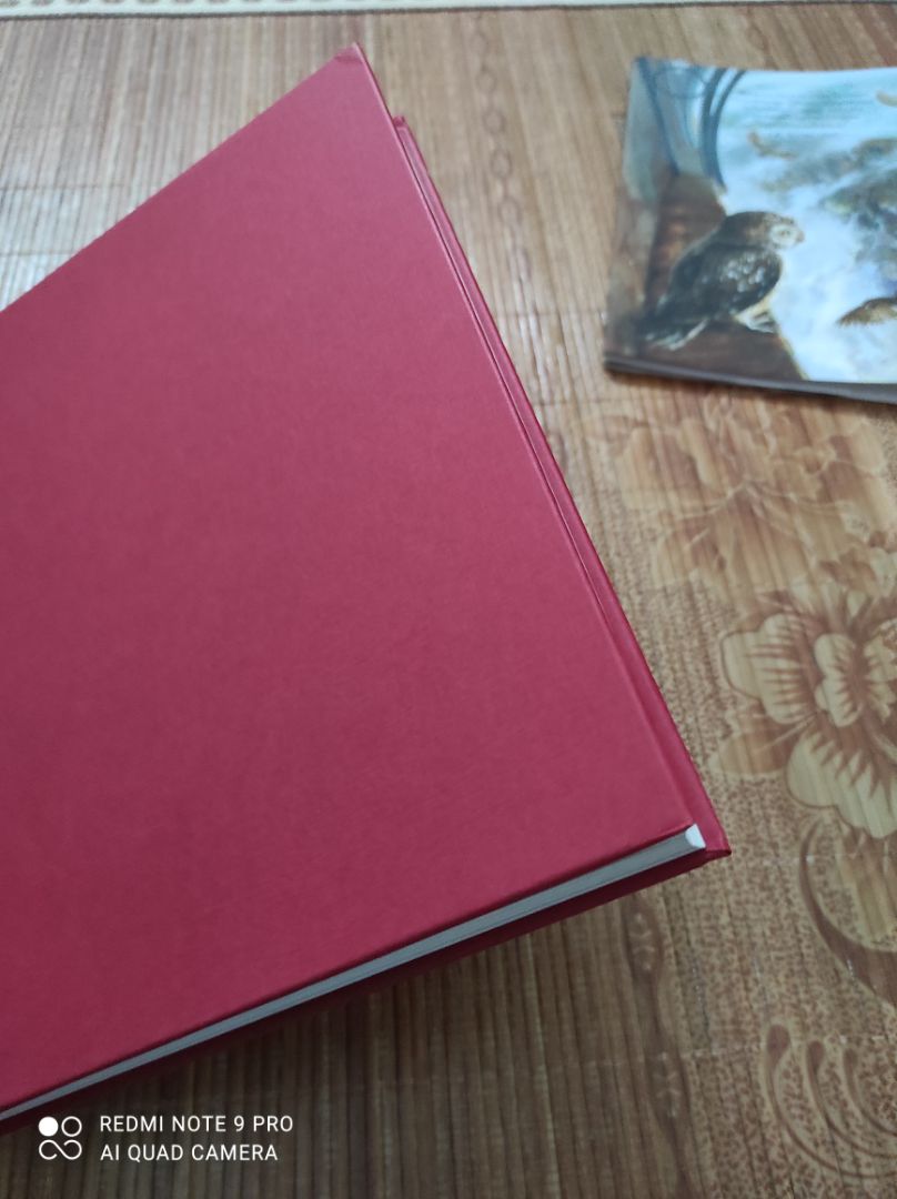 Chất lượng sách tốt, có bọc plastic và xốp chống va đập.