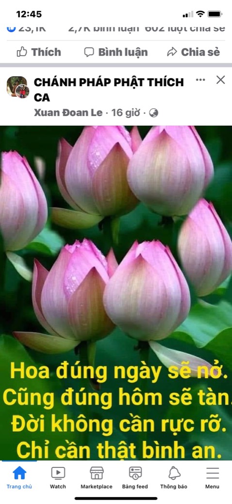 Hủ đẹp và đóng gói kỹ nhân viên thân thiện vui tính