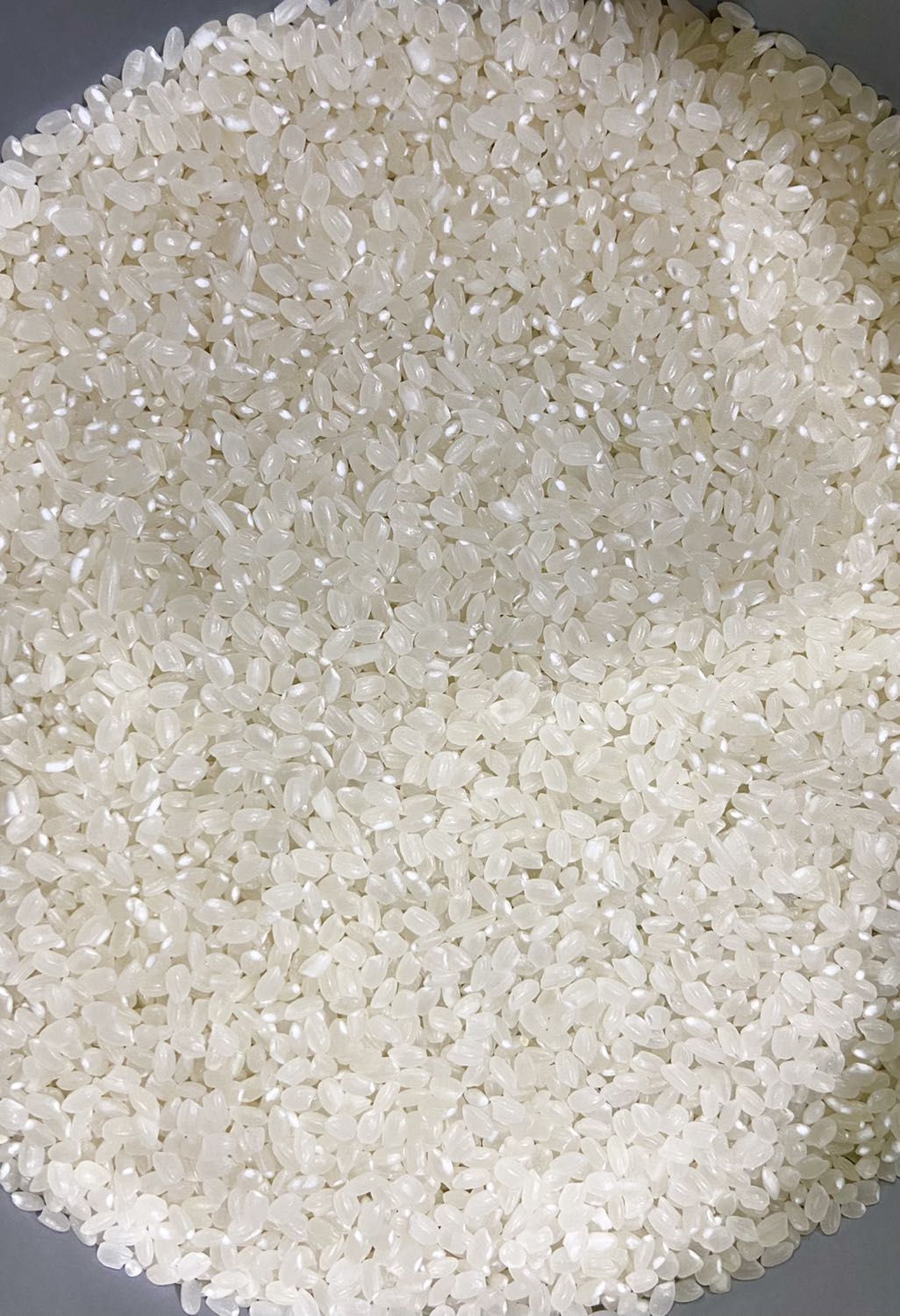 Giao hàng, đóng gói tốt.
Gạo Nhật dùng cho sushi. Dẻo, mềm, hạt tròn, jống như gạo Việt có pha 30 % nếp. Giao hàng, đóng gói tốt.
Gạo Nhật dùng cho sushi. Dẻo, mềm, hạt tròn, jống như gạo Việt có pha 30 % nếp.