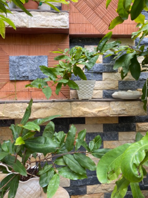 Sản phẩm sử dụng được Sản phẩm sử dụng được