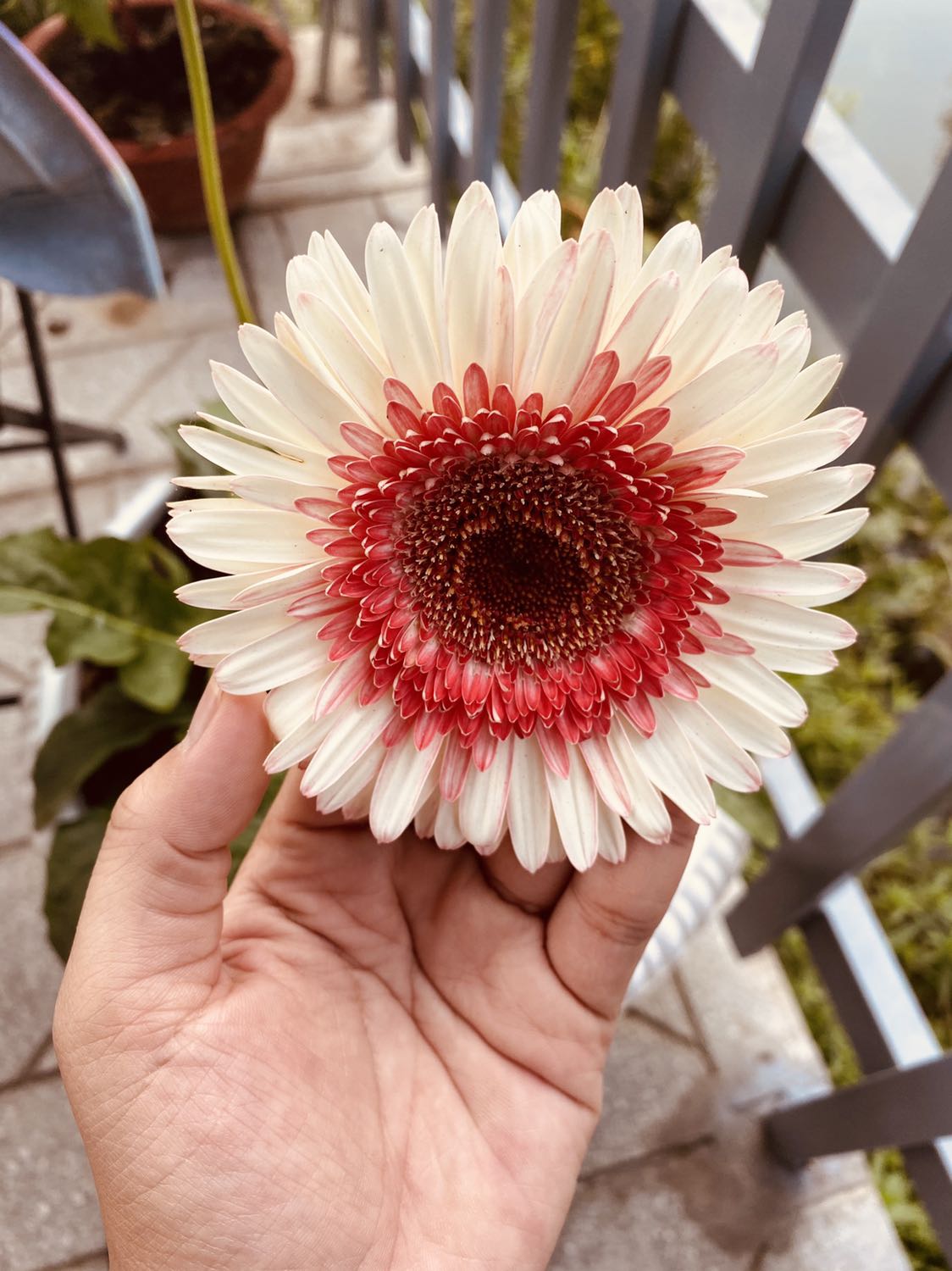 Tốt Tốt