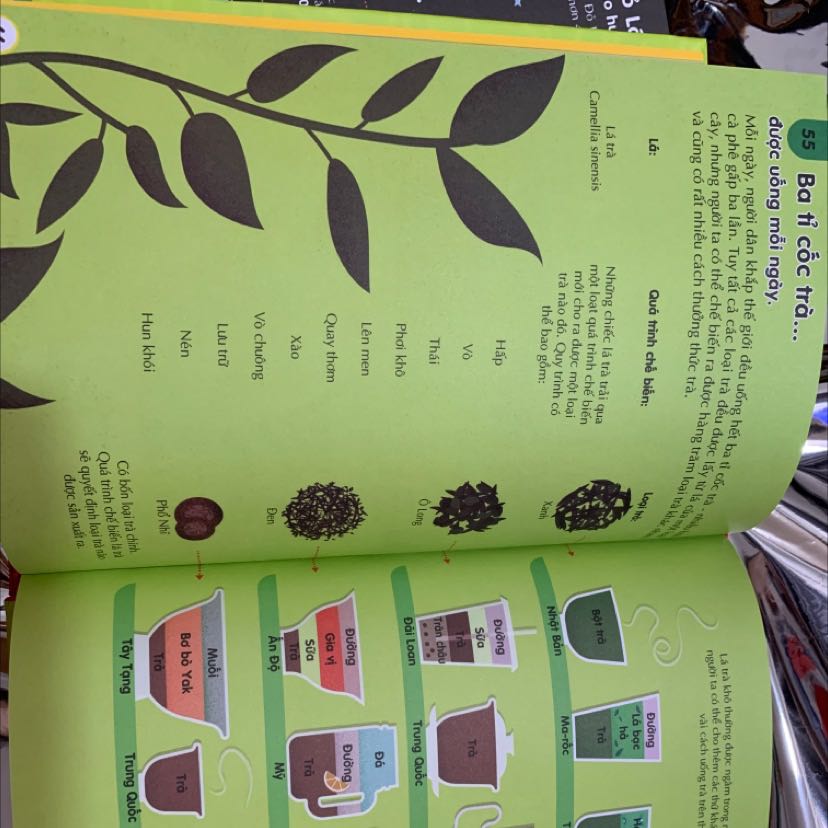 Sách dày dặn, bìa dày, mực in rõ nét, không bị nhoè. Hình ảnh đẹp mắt, nội dung đơn giản, chủ yếu cung cấp thông tin dạng sơ đồ, giúp bé đọc dễ dàng. Cũng có vài chỗ viết hơi khó hiểu do dùng từ chuyên ngành.