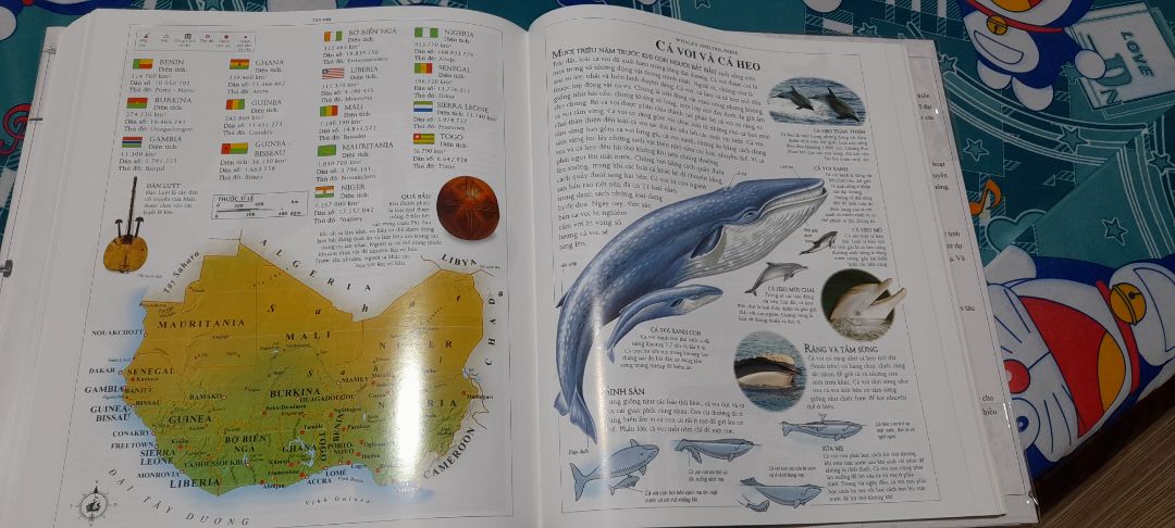 Sách rất đẹp, thông tin tổng hợp, hình ảnh minh hoạ bắt mắt, giá rất rẻ so với sách khoa học bằng hình được xuất bản sau này. Cảm ơn shop, Tiki và Đông A nhé.