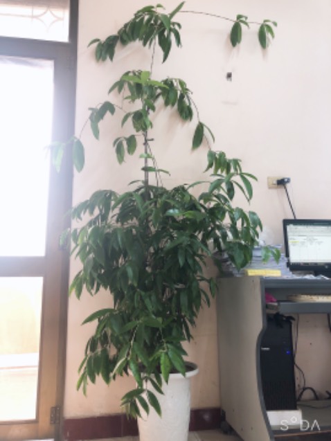 Chất lượng sản phẩm đã được khẳng định trên thị trường, đóng gói rất đẹp và chắc chắn. Giao hàng nhanh. Mình tiếp tục ủng hộ TIKI