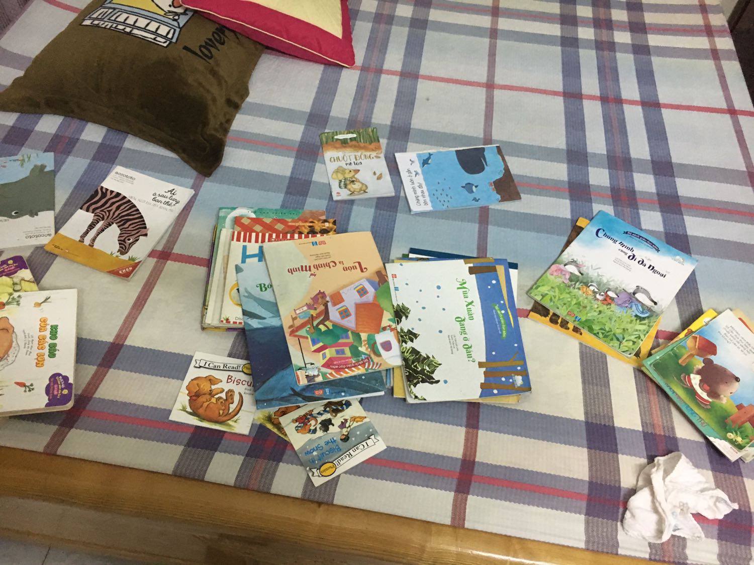 Ảnh mang tính chất mình hoạ