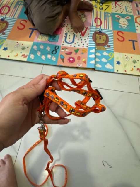 Giao không đúng mẫu  em đặt không phải mẫu này