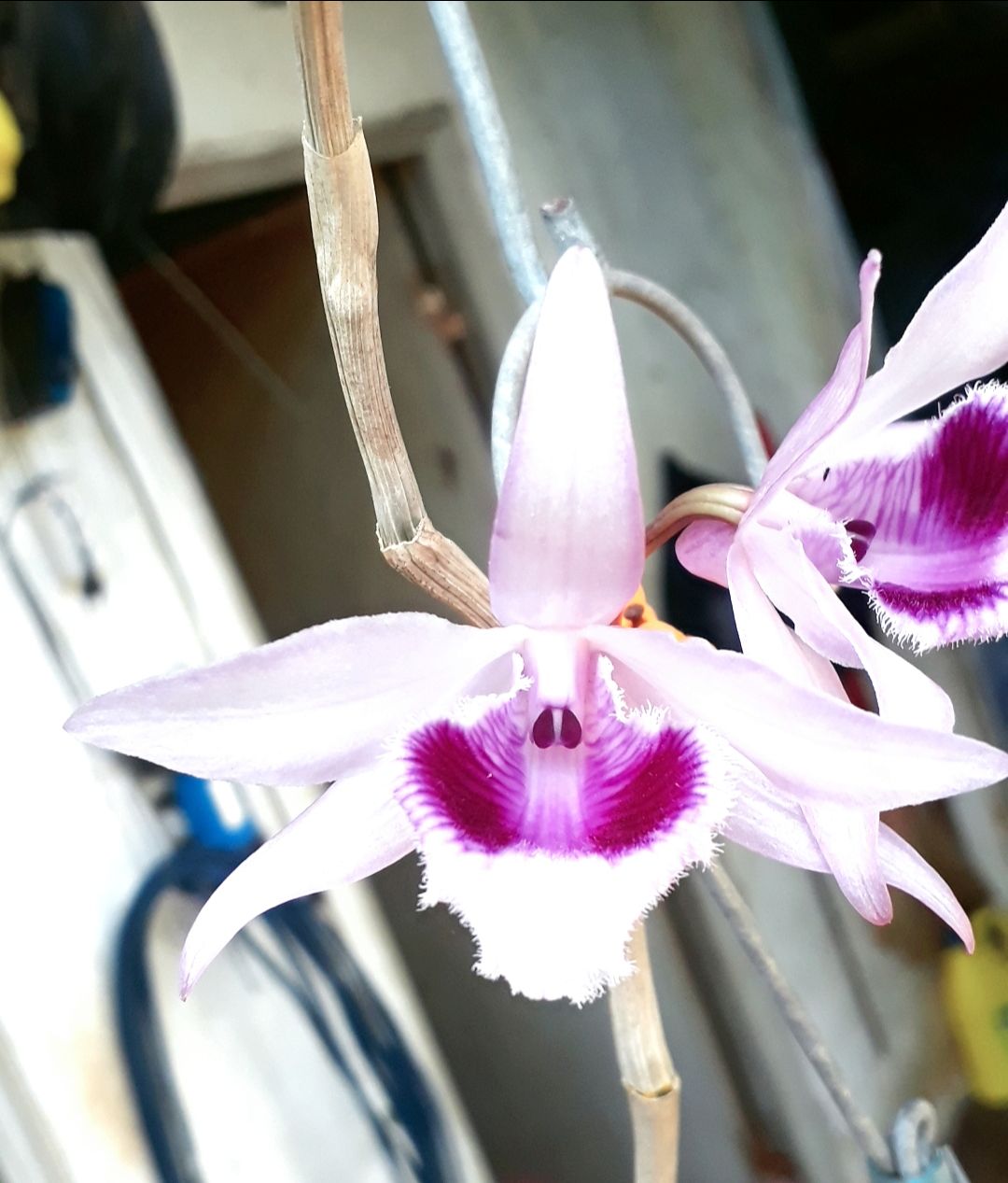 sản phẩm rất ok g
lắp rất vừa vặn chắc chắn.cảm ơn shop nhé tặng shop 5sao sẽ ủng hộ shop tiếp những lần sau.. sản phẩm rất ok g
lắp rất vừa vặn chắc chắn.cảm ơn shop nhé tặng shop 5sao sẽ ủng hộ shop tiếp những lần sau..