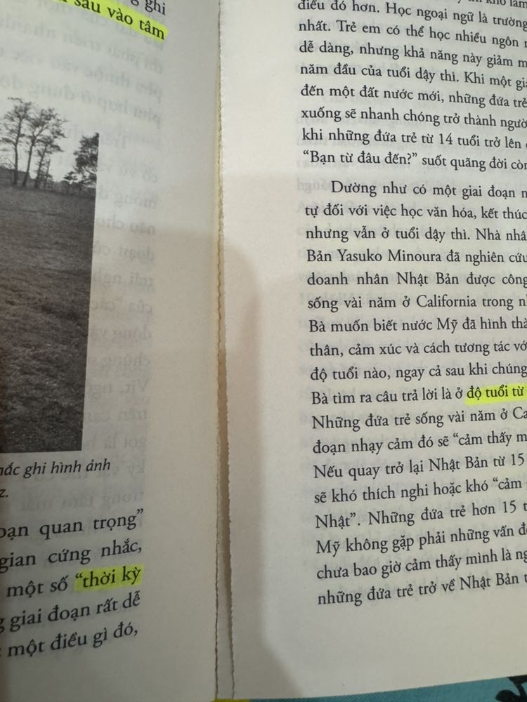 Giờ mới lấy ra đọc, đọc được vài trang thì bung gáy sách tùm lum 🥲