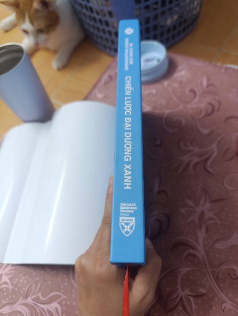 Mặc dù là bìa cứng , thông thường mình thấy sẽ đc in cả mặt ngoài và mặt trong 
Nhìn mặt sách thấy hơi giống sách giả quá ạ 🫠🫠🫠