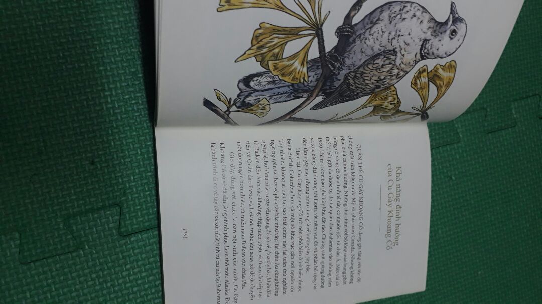 bìa sách và hình vẽ bên trong đẹp, giấy trơn vàng , hình màu, sách nói về hình dáng và đời sống về các loài chim .