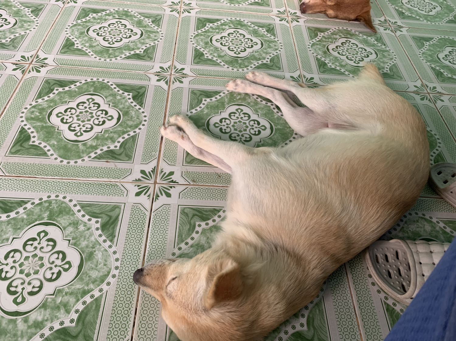 Giao hàng cực kì nhanh , Tiki phục vụ rất tốt . Mình rất hài lòng Tiki