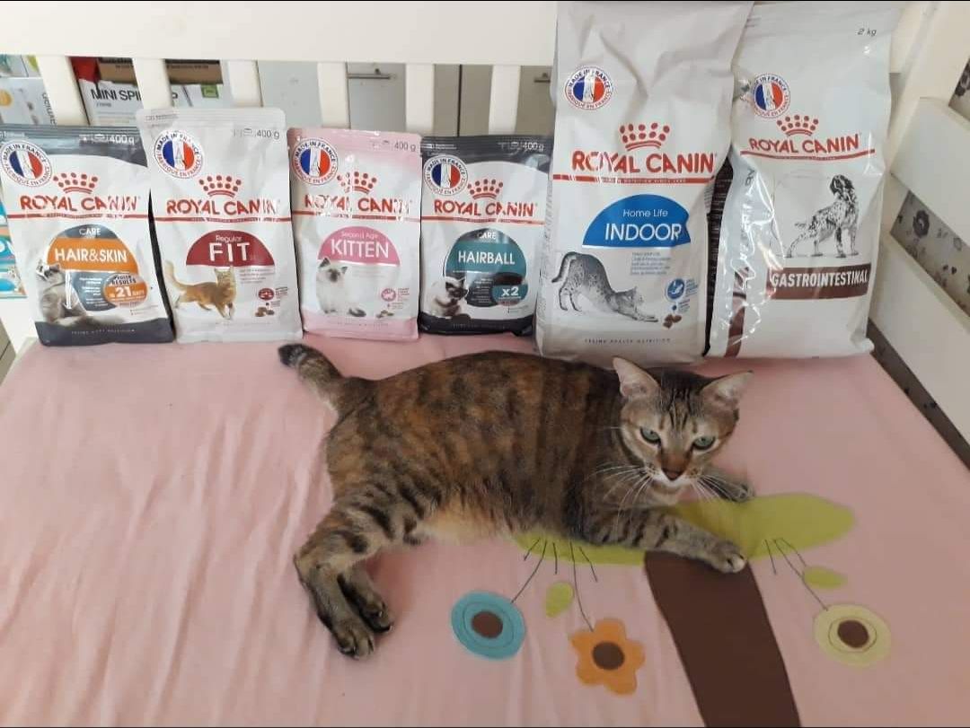 hsd xa, giao nhanh, giá ok. mèo ăn hạt loại này sống thọ.