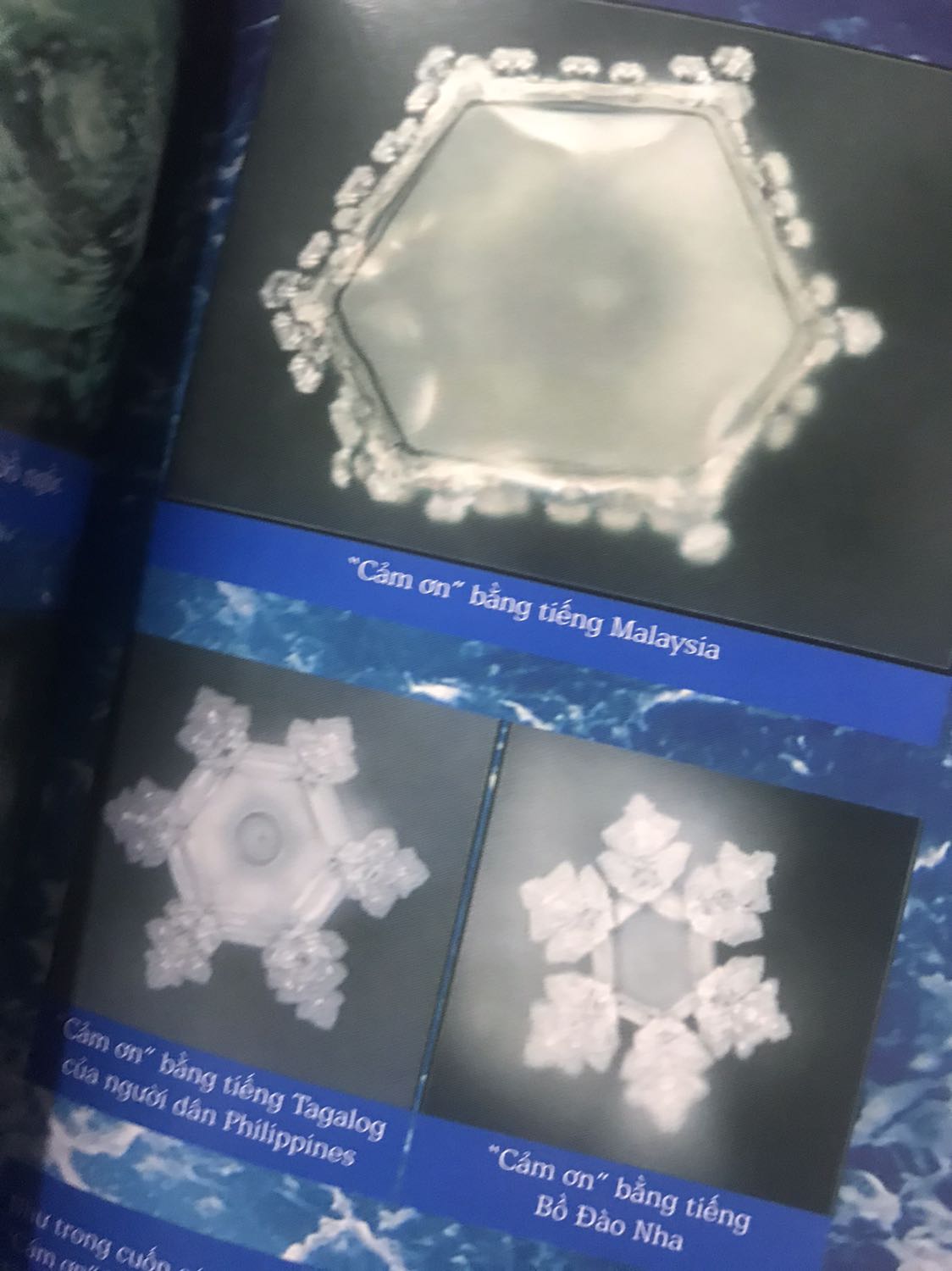 Trước tiên thì nói qua một chút thành tích của sách. Đây là cuốn sách bán chạy do New York Times bình chọn, được dịch ra 24 ngôn ngữ, bán hơn 1 triệu bản trên toàn thế giới. Trước đấy tác giả cũng có cuốn sách “Thông điệp của nước” với thành tích khủng không kém.

Quả thực không phải tự nhiên mà sách lại nhận được sự đón đọc của nhiều độc giả như vậy. Chúng ta ai cũng uống nước mỗi ngày nhưng không phải ai cũng hiểu hết được tác dụng, những bí mật mà nước mang lại cho chúng ta. Nước mang theo toàn bộ lịch sự cùng vẻ đẹp phi thường của mình cũng như chúng ta mang theo toàn bộ lịch sử của con người. Qua cuốn sách, tác giả đã đem đến cho người đọc cuộc hành trình đầy ấn tượng của nước trên Trái Đất và tiết lộ những bí ẩn của nước đầy hấp dẫn.

Những gì được viết trong sách không chỉ giúp cho chúng ta hiểu biết thêm nhiều kiến thức mà còn mang tới cho người đọc sự nhẹ nhàng nhưng đầy vi diệu của nước qua lối viết của tác giả. Và khi đọc tới nửa cuốn sách mình mới phát hiện ra một phần nội dung trong sách đã được đưa vào phần đọc hiểu trong cuộc thi THPT Quốc Gia năm 2021 vừa qua. Một cuốn sách phải có sức thu hút như nào mới được đưa vào đề thi như thế nhỉ ^^