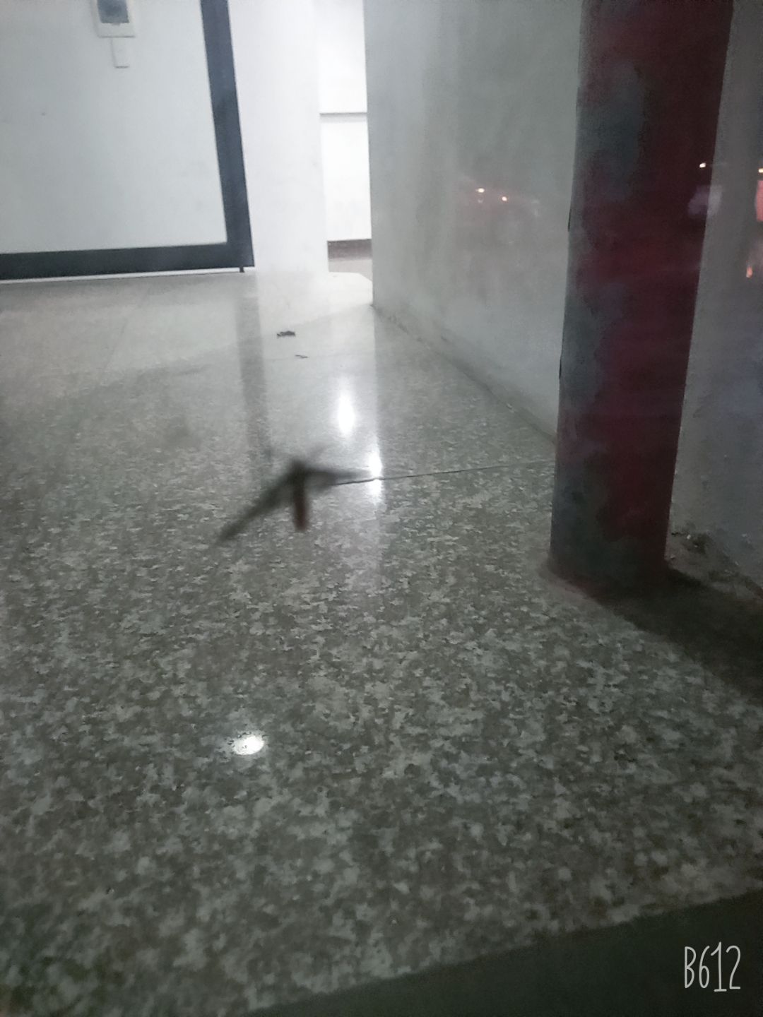 mình uống hết mới đánh giá nè.sữa thơm ngon date xa nhé.mình hay mua của shop nên ok lắm