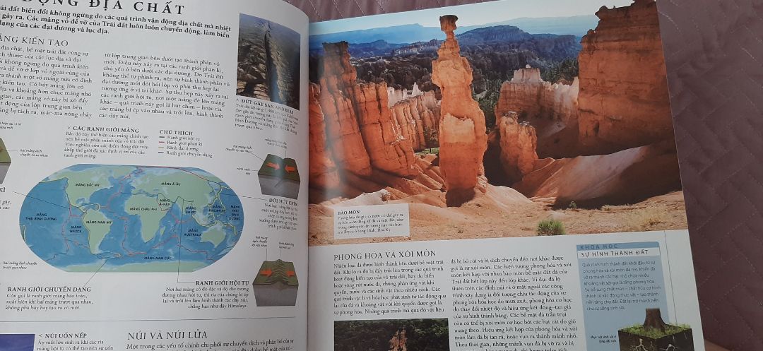 giao hành nhanh, sách dày, ảnh đẹp, to, rõ, đọc dễ hiểu, hơi nặng nha mn :))), nên mua nha mn