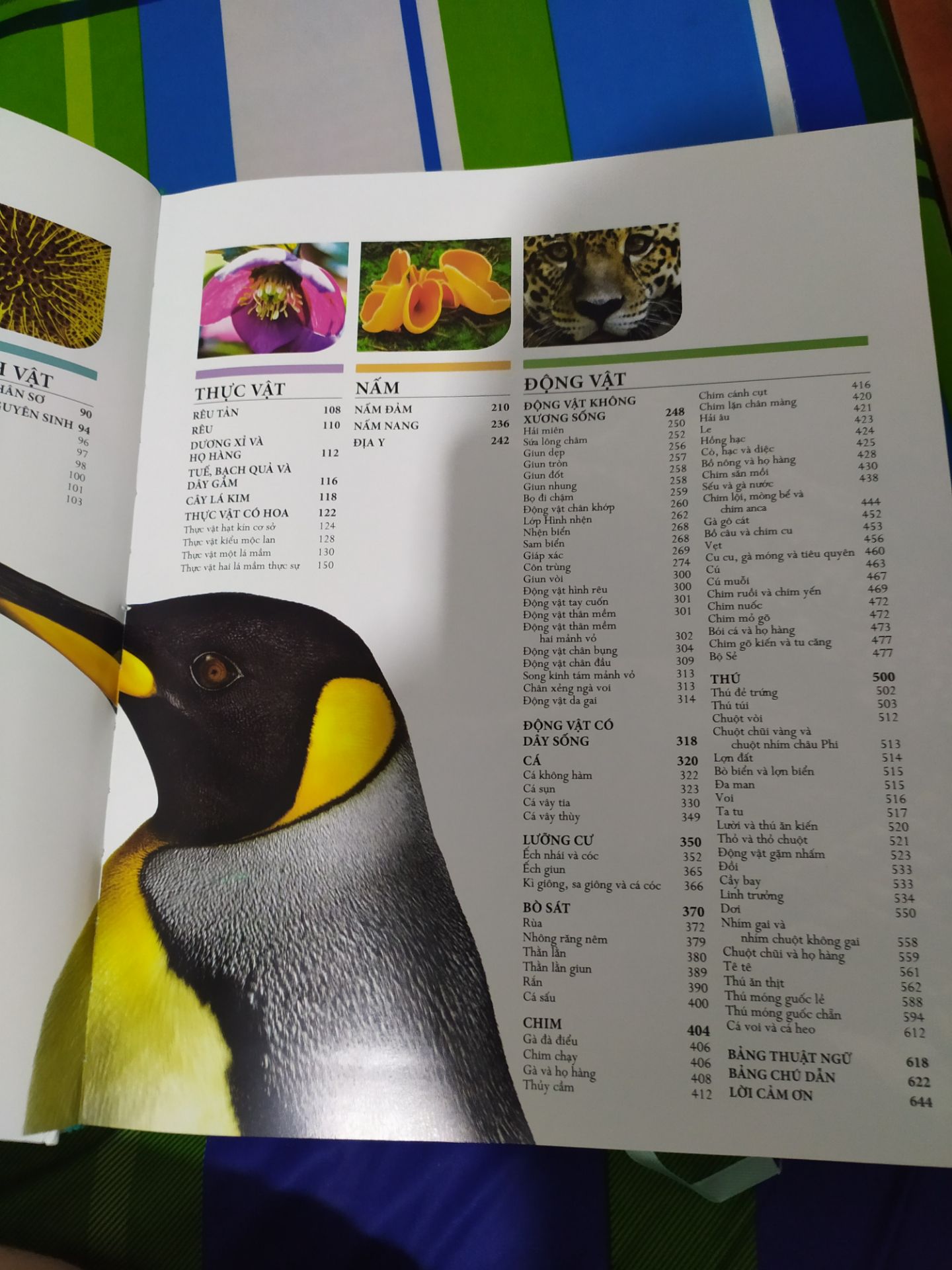 MỘT QUYỂN ATLAS GIÁ TRỊ VỀ THẾ GIỚI TỰ NHIÊN:
+ Hình thức, trình bày: Quyển lịch sử tự nhiên này nằm trong bộ 4 quyển lịch sử đồ sộ dựa trên 4 lĩnh vực lớn (bên cạnh lịch sử khoa học, lịch sử quân sự và lịch sử thế giới) do Đông A ấn hành dựa trên bản quyền tiếng anh của DK. Không cần bàn cãi về hình thức trình bày sách của Đông A- vô cùng logic. Sách được in màu toàn bộ trên giấy bóng dày, bìa cứng thiết kế bắt mắt, sang trọng. Hình minh hoạ đẹp, sắc nét, in không bị lem màu. Phông chữa to vừa dễ đọc. Khổ sách khá lớn và dày nên có thể xem như một quyển atlas tự nhiên.
+ Nội dung: Trình bày, giới thiệu nhóm vật chất và sinh vật sơ khởi của trái đất (khái quát về sự sống trên trái đất, các loại khoáng vật, vi sinh vật), để làm nền tảng đi vào 3 nhóm sinh vật lớn ngự trị trên hành tinh (nấm, thực vật, động vật). Trong mỗi chương, soạn giả miêu tả hết sức chi tiết về đối tượng với hình ảnh minh họa đặc thù của loài khiến độc giả thích thú theo dõi cũng như dễ tiếp thu, nhớ lâu, ấn tượng lâu dài, không hề nhàm chán như những sách khoa học chỉ có chữ và chữ.
+ Kết luận: dựa vào những tiêu chí nổi bật trên, quyển thế giới tự nhiên xứng đáng nằm trong tủ sách khoa học của mọi nhà. Sách phù hợp với mọi lứa tuổi: học sinh, sinh viên có thể tham khảo làm tài liệu học tập, người đi làm đọc để dung nạp thêm kiến thức cũng như thư giãn sau giờ làm việc.