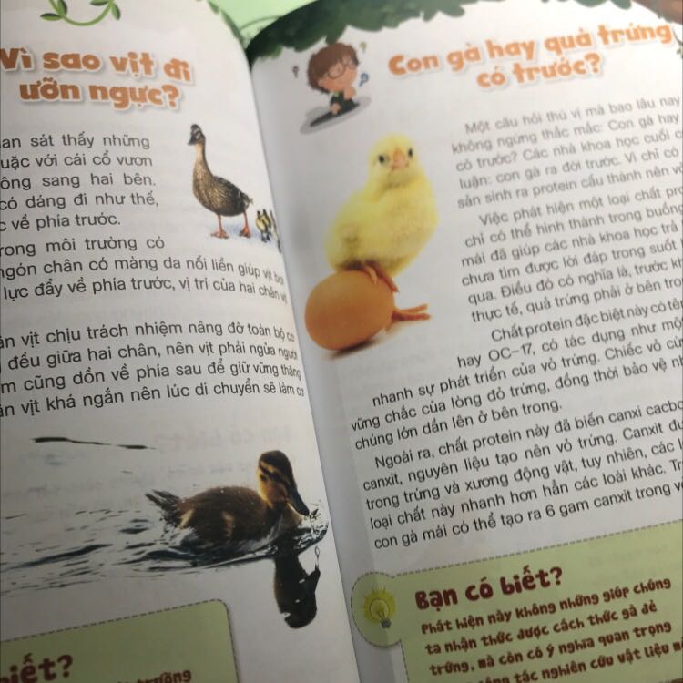 sách bổ sung rất nhiều kiến thức, câu hỏi hay. giá thành rẻ mà bổ ích có hình ảnh minh hoạ phù hợp với bé
