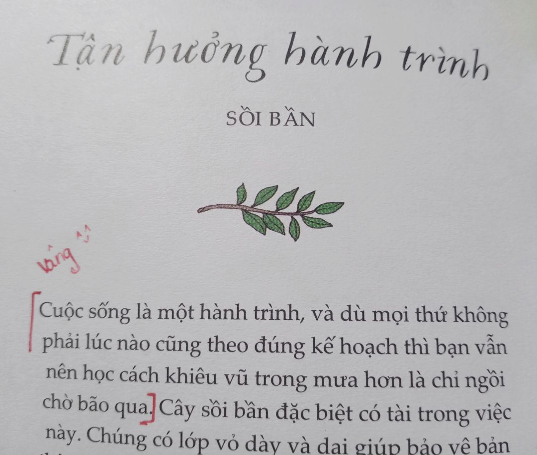 Quyển sách này khá dễ đọc, nội dung chủ yếu là đưa đến  các thông điệp ý nghĩa trong cuộc sống thông qua bài học từ những cái cây. Đọc xong chúng ta vừa biết thêm vài loại cây mới lại có thêm năng lượng làm việc tích cực hơn ?
Sách được bookcare nên rất vừa lòng, lại được giao khá nhanh. Cảm ơn Tiki nhaaa?