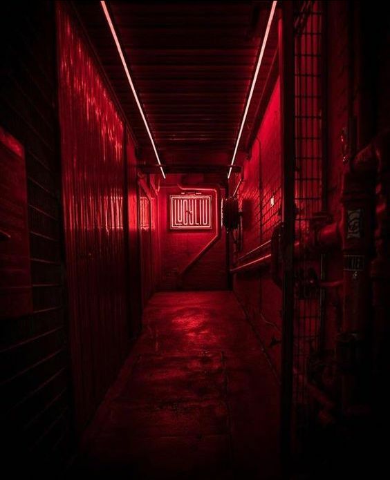 Đóng từng gói để tiện sử dụng mỗi lần, rất hợp vệ sinh, dễ sử dụng, ko quá mùi gây khó chịu cho bé, giá cả hợp lí, mình đã dùng cho bé nhà mình từ lúc bé mới sinh đến bây h, bây h dùng chủ yếu là để chà răng.