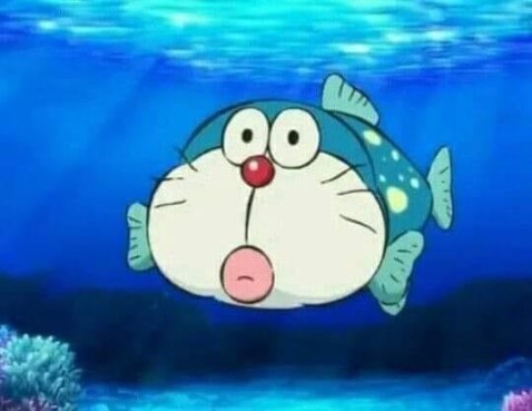 Sách hay, giấy êm tay lắm luôn