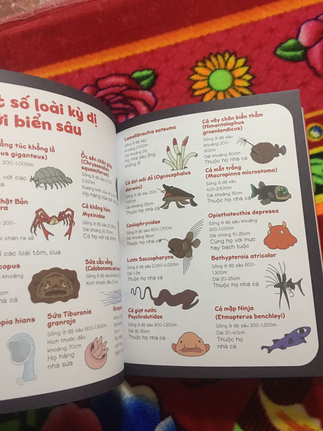 Sách này rất nhiều kiến thức về nhiều chủ đề
Minh hoạ rất hay và dễ hiểu
Bố mẹ nên đọc những quyển ntn để thêm kiến thức khi bị con hỏi vặn