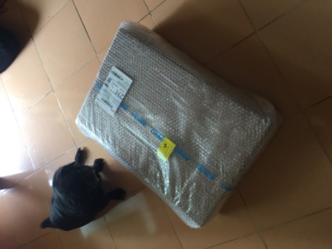 Giao hàng nhanh, đóng gói cẩn thận, hình thức và chất lượng đúng như quảng cáo. Nhân viên vận chuyển nhiệt tình, chu đáo. Màn hình rất đẹp so với tầm giá