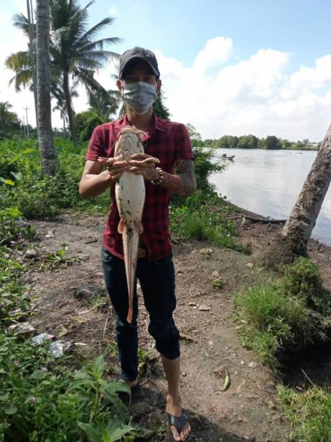 Giao hàng rất nhanh, dùng khá tốt ,đóng gói rất cẩn thận