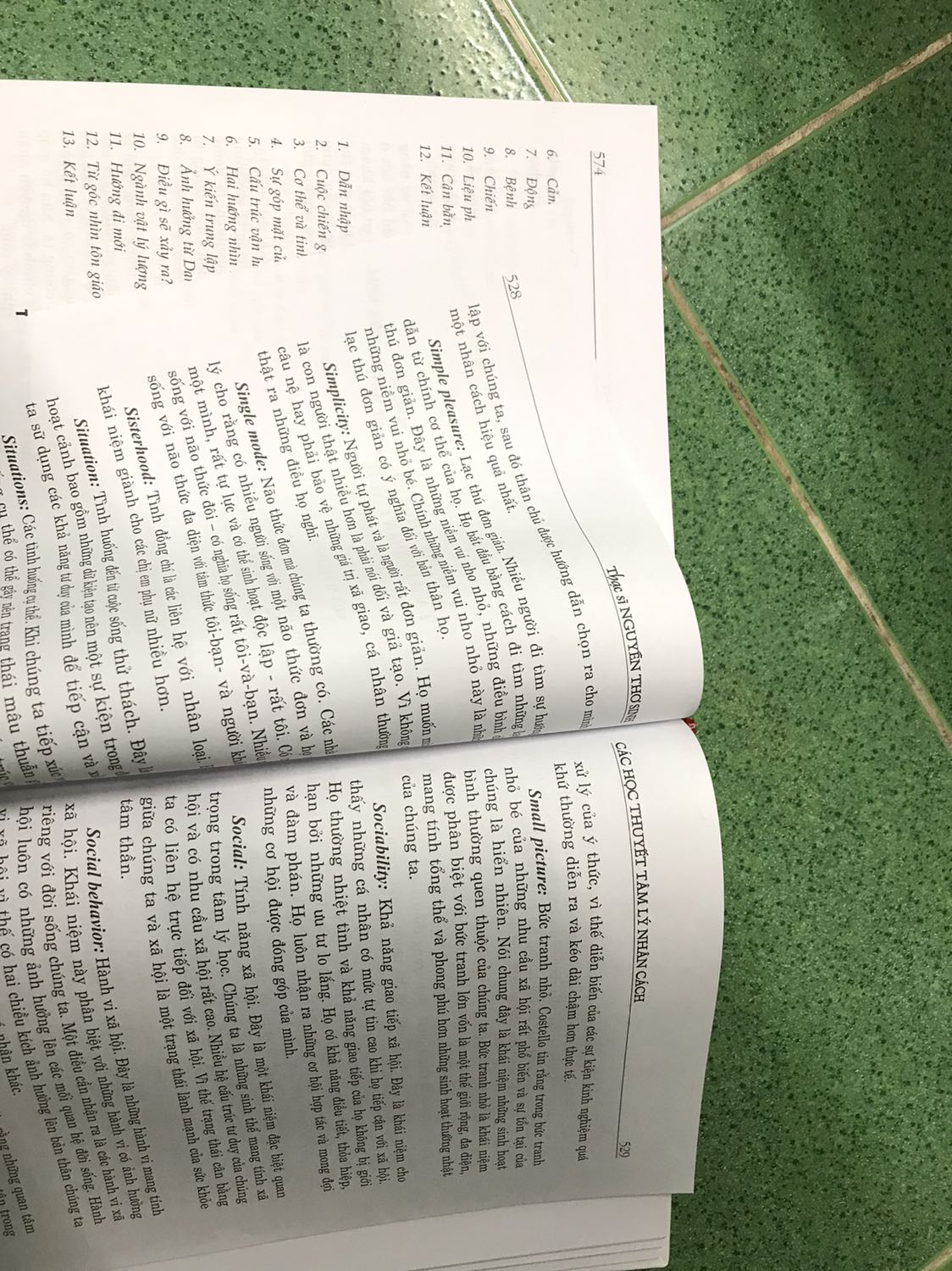 Sách in lỗi thứ tự trang nhiều. Gần nửa số trang là chỉ giải thích các từ tiếng anh chuyên ngành. Đây không phải là một cuốn từ điển, cũng không phải một tài liệu chuyên ngành, chỉ là cưỡi ngựa xem hoa