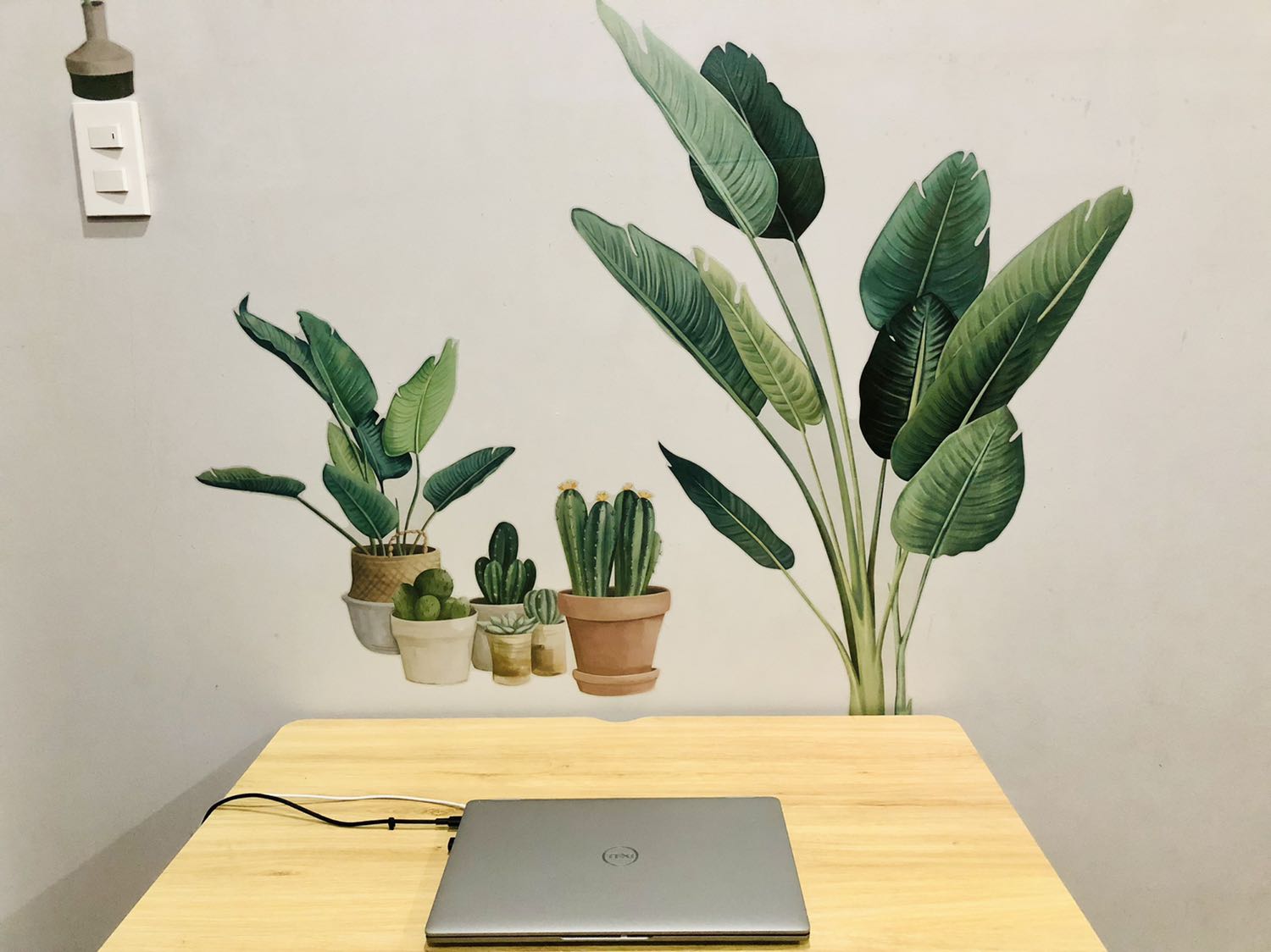 Decan ok, đẹo và dễ dán, ko bị dính sơn trên tường, nhà sinh động hẳn ra. Mình mua nhiều loại, mới dán được 2 cái, còn lại để sau dán tiếp