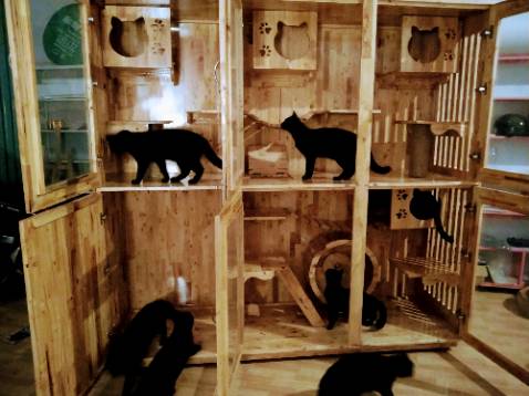 Sản phẩm chất lượng tốt, giao hàng nhanh, đóng gói chắc chắn. Đánh giá 5* nha