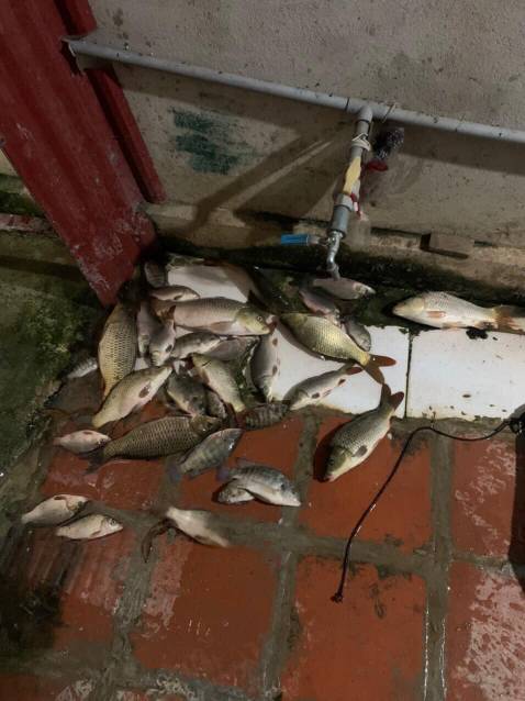 hàng rất đẹp,còn độ bền thì đi câu mới bt đc tạm cho 4 sao trước