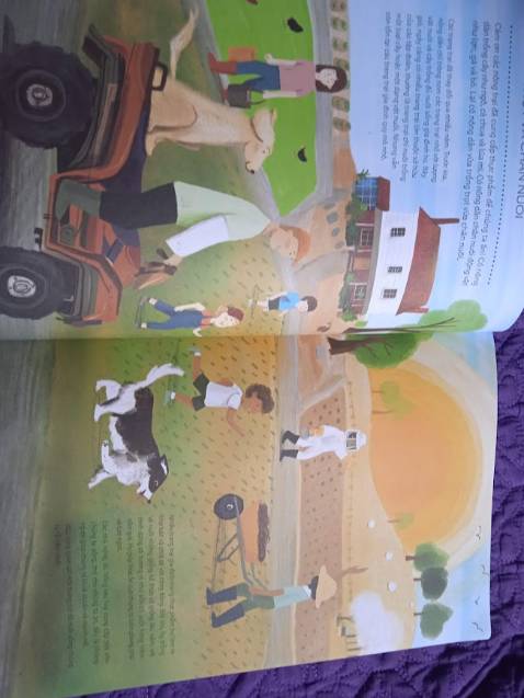 Mình bị ấn tượng với hình vẽ minh họa của sách, rất đẹp và dễ hình dung, màu sắc tươi sáng, sinh động. Với mình thì sách phù hợp cho cả trẻ nhỏ và người lớn luôn.