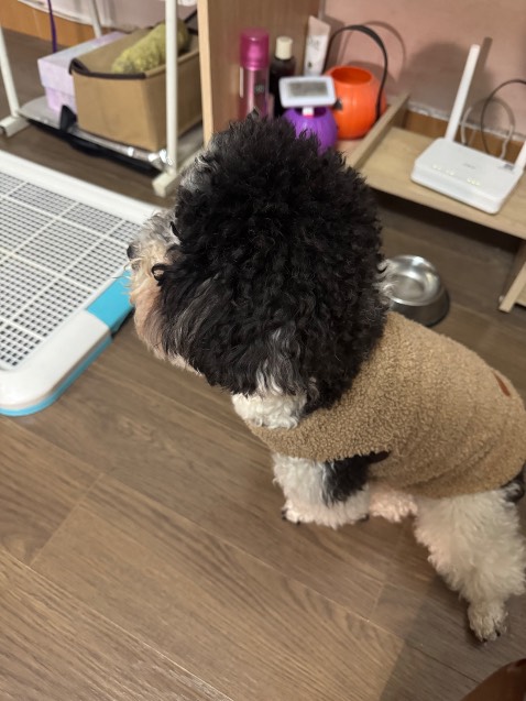 Sách hay được bọc cẩn thận tỉ mỉ