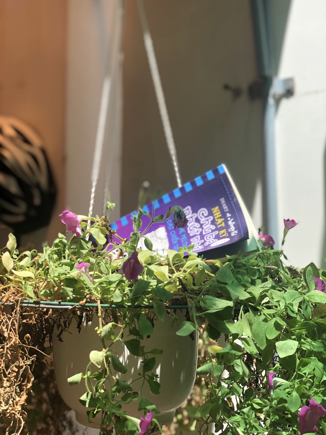 Truyện hài hước, hồi hộp và lôi cuốn.  Giao nhanh