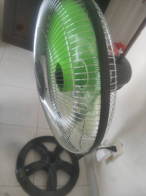 Ngon lành cành đào, quạt.thổi vù vù cóng luôn rất thích hợp sử dụng mùa hè nóng như này