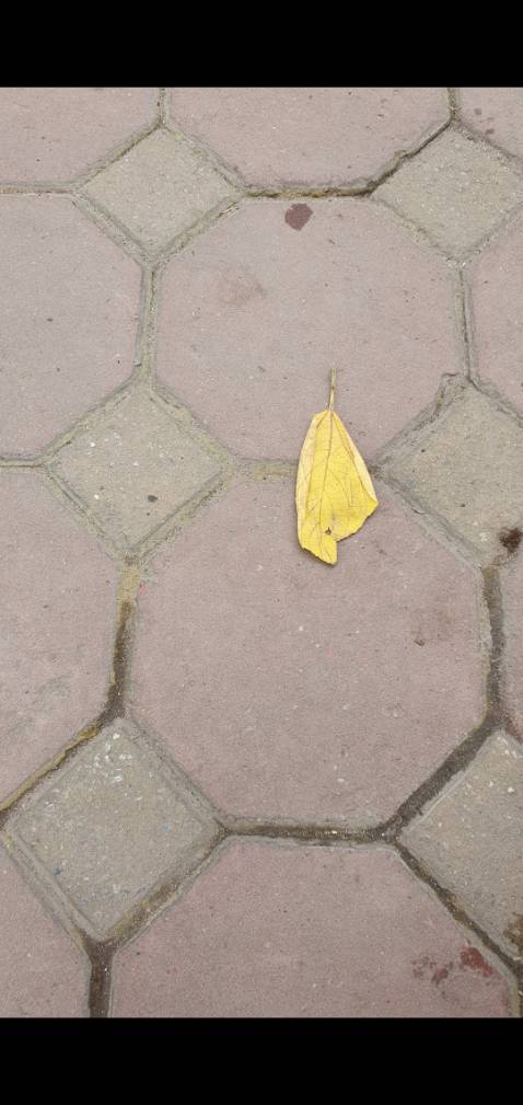 Sản phẩm chất lượng tốt, giá cả.hợp lý và giao hàng rất nhanh.