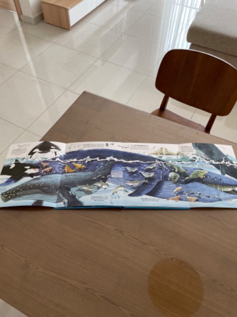 Giao hàng nhanh, đóng gói cẩn thận, sách in đẹp, hình ảnh bắt mắt, sống động. nội dung dịch khá tốt