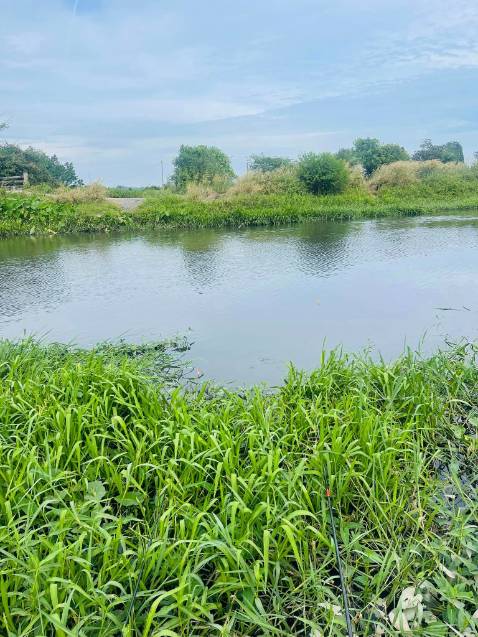 Sản  phẩm đúng mô tả, giao hàng nhanh, sẽ ủng hộ tiếp