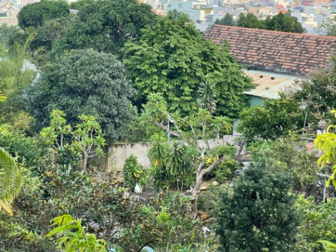 Sản phẩm rất tốt,sẽ mua ủng hộ tiếp