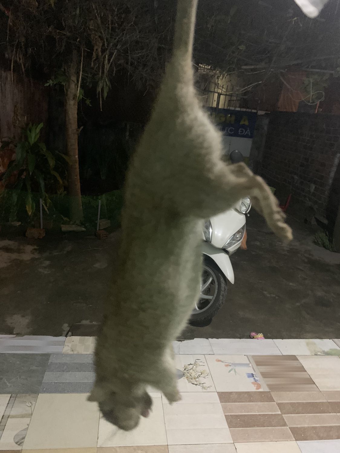 Ghahhha hsjnsjjw sjwkqj s sjskjwq. S jqjjqjbbs. Ựkqjs Ghahhha hsjnsjjw sjwkqj s sjskjwq. S jqjjqjbbs. Ựkqjs