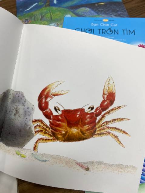 hình ảnh các bạn động vật trong sách còn đẹp hơn mấy cái thẻ sách mình mua cho con, đáng tiền hình ảnh các bạn động vật trong sách còn đẹp hơn mấy cái thẻ sách mình mua cho con, đáng tiền