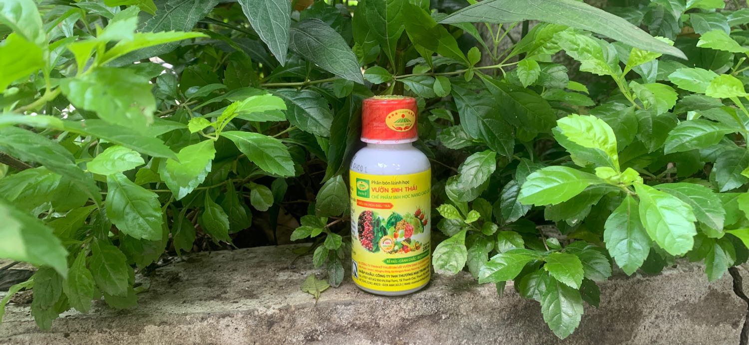 Đúng là phân bón xịn sò
Dùng rất thích
Cây khỏe lá xanh bóng mượt
Hoa nở đẹp sáng