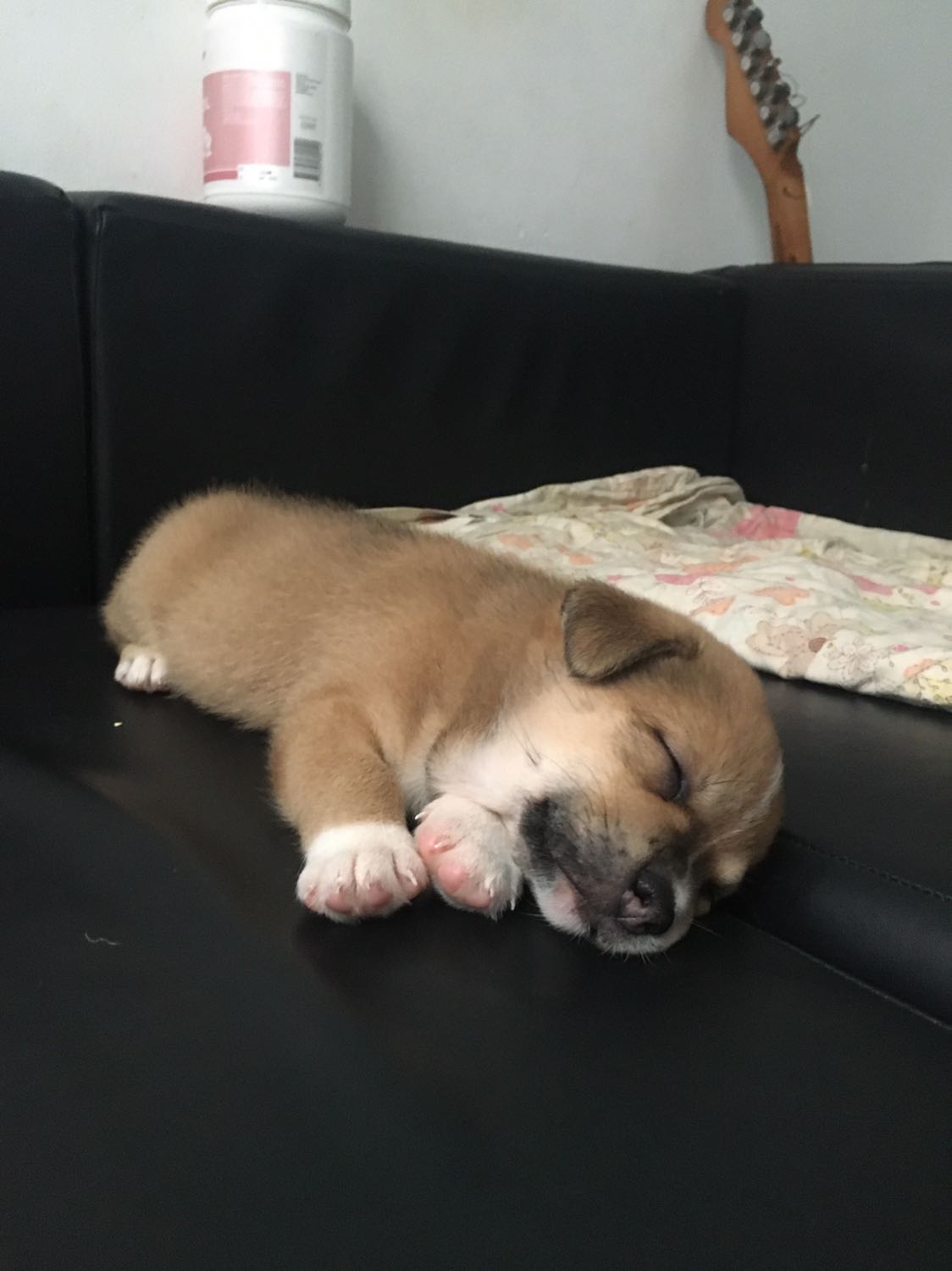 Banh rất đẹp mà chuông nghe hơi nhỏ phải bỏ hạt vào mới nghe, tiếc là  Bé nhà mình không thích chơi banh lắm, thích thú bông hơn chỉ khi nào mình chơi chung bé mới chơi thôi :)))